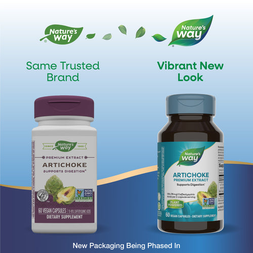 buy artichoke 300 mg nature's way