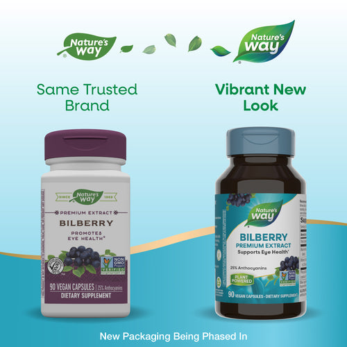 buy bilberry 80 mg nature's way