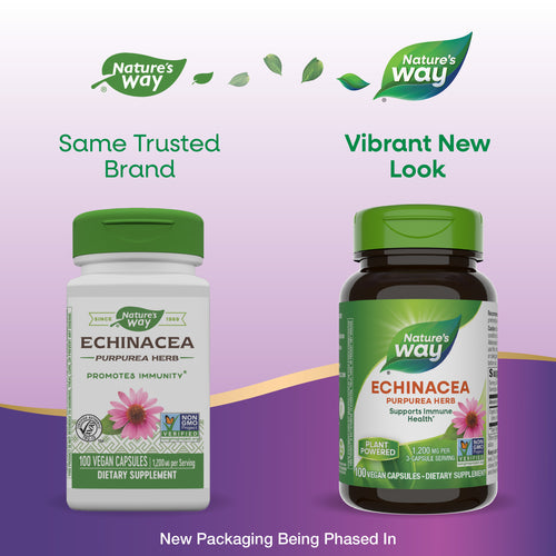 buy echinacea capsules nature's way