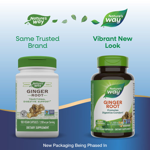 buy ginger root capsules nature's way