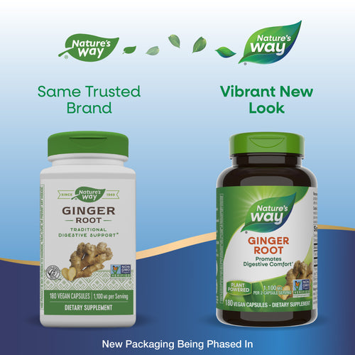 buy ginger root capsules nature's way