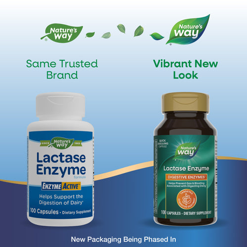 buy lactase enzyme capsules nature's way