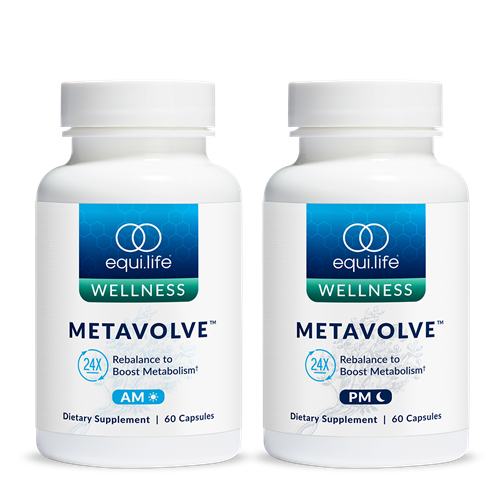 metavolve (equilife)