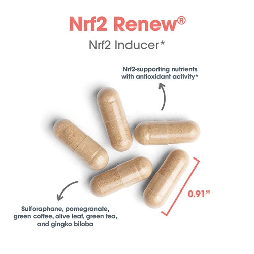 nrf2 renew allergy research group capsules