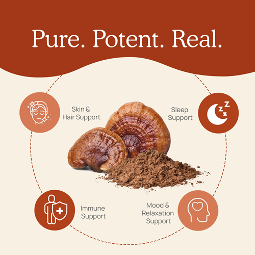 Reishi Mushroom Extract Capsules