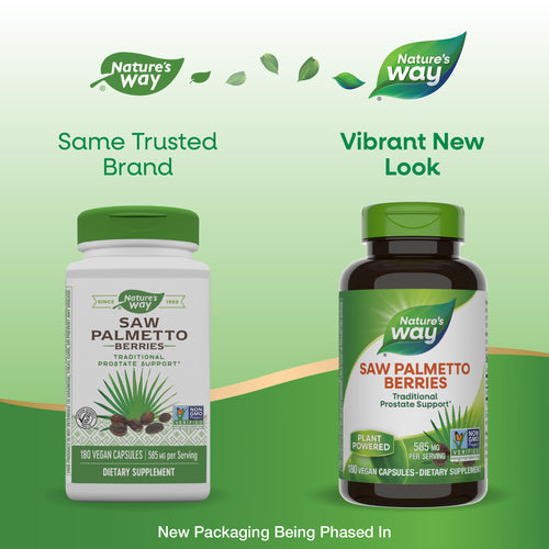 buy saw palmetto berries capsules nature's way