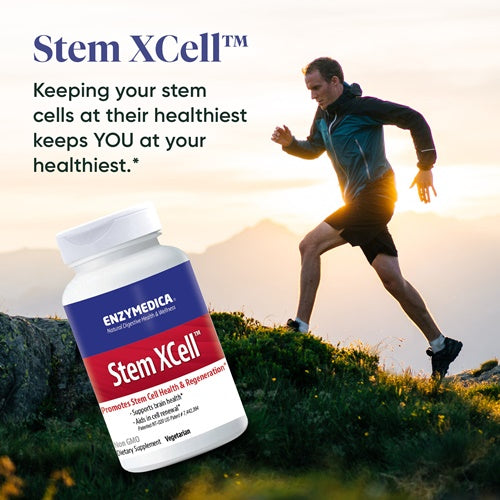 Stem XCell Enzymedica