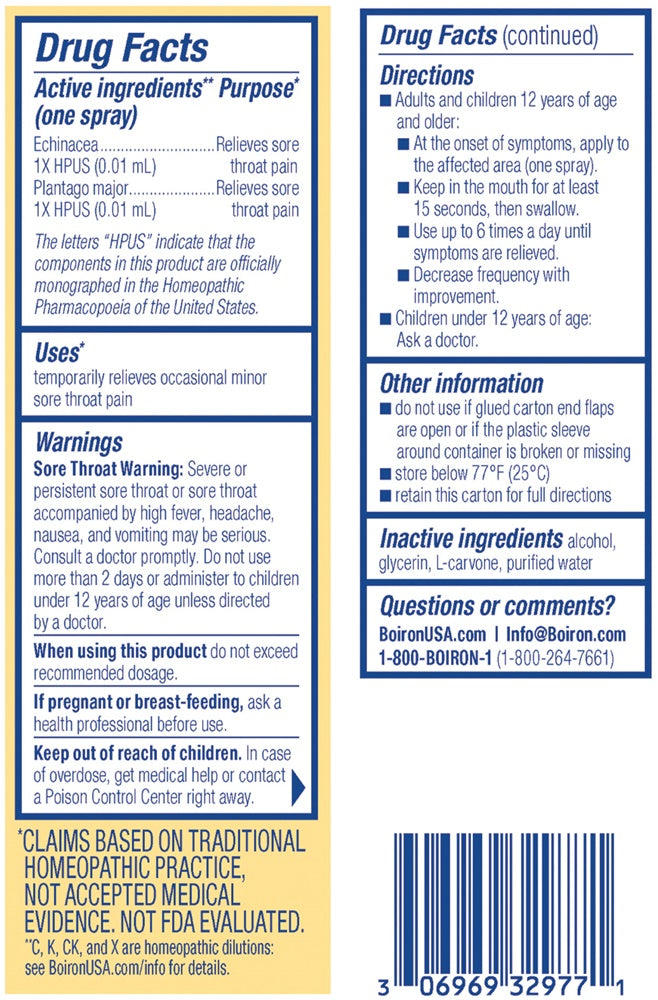 throatcalm spray boiron drug facts