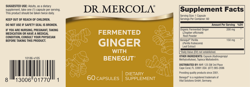 Fermented Ginger