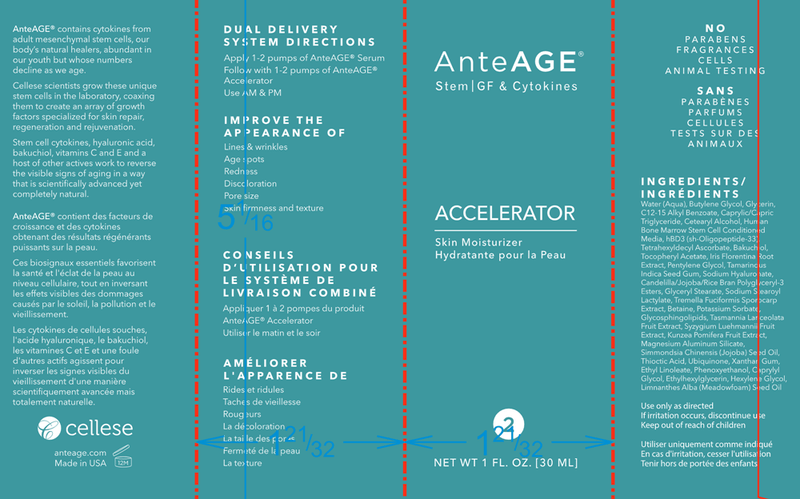 AnteAGE Accelerator (AnteAGE) Label