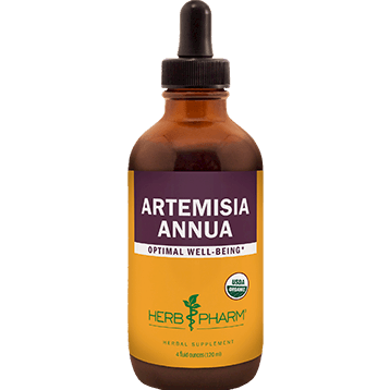 Artemisia annua 4oz