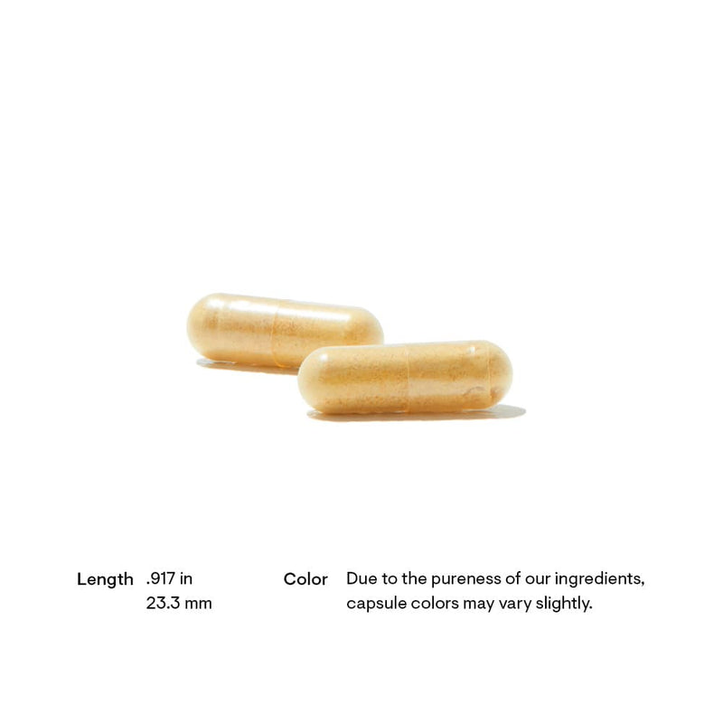 Basic B Complex Thorne Research Products