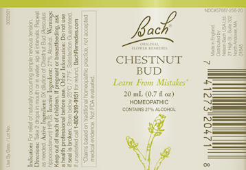 Chestnut Bud Flower Essences (Nelson Bach) Label