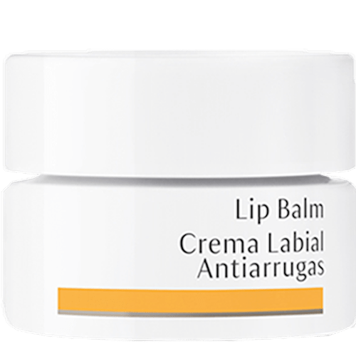 Lip Balm (Dr. Hauschka Skincare)