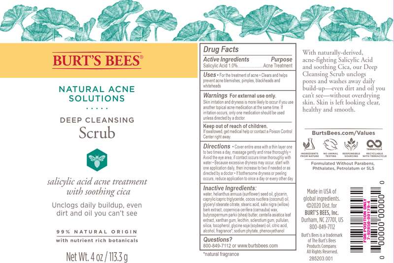 Natural Acne Solutions Pore Scrub (Burts Bees) Label