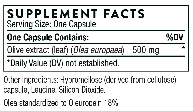 Olive Leaf Extract Thorne Products