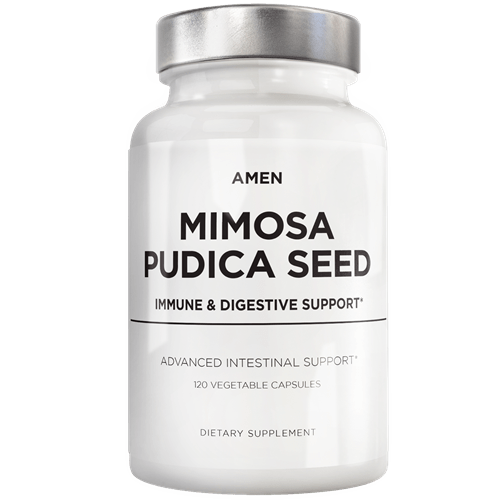 Organic Mimosa Pudica Seed Amen