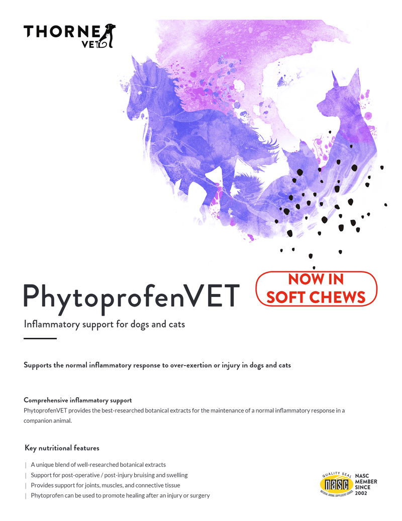 PhytoprofenVET Thorne Vet Supplements