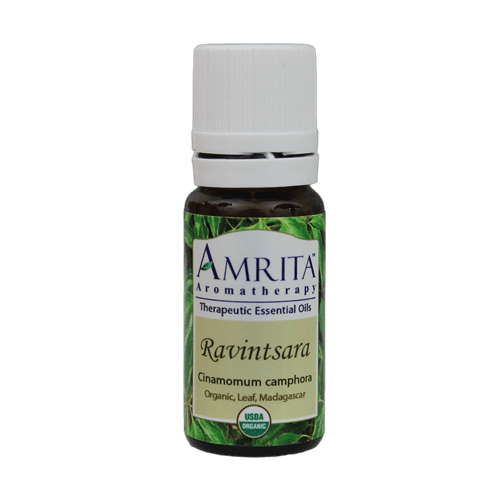 Ravintsara (Organic) (Amrita Aromatherapy) 