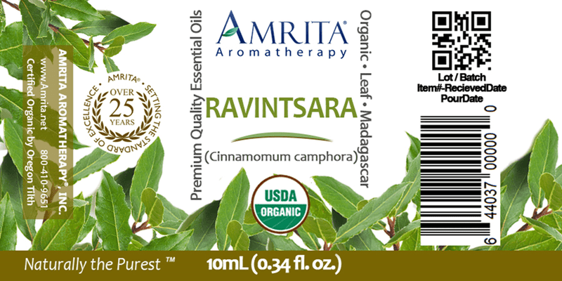 Ravintsara (Organic) Free Shipping (Amrita Aromatherapy)